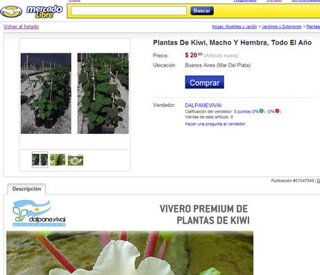 mercadolibre